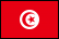 TN flag icon