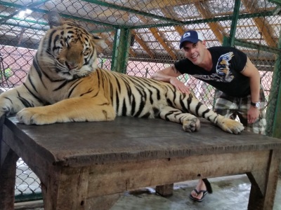 Tiger Kindome ,Thailand