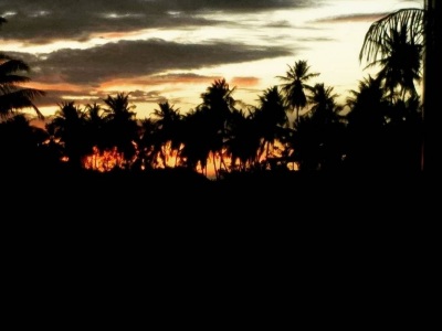 taken during a jungle trip