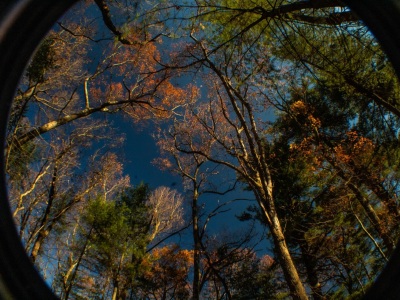 Talcott Mountain State Park in rural Connecticut, east coast adventures (: 