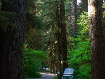 camping in Sol Duc Campground in Olympic National Forest.