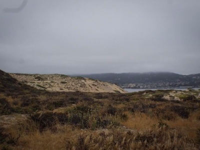 Seaside dunes of Monterrey Beach, California. 
Left Phoenix that day at 112 degrees, arrived to 35 degrees and no winter clothes :| 