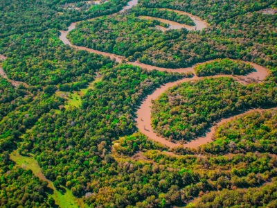 Muddy rivers and bright green trees on the south-eastern side of Texas.