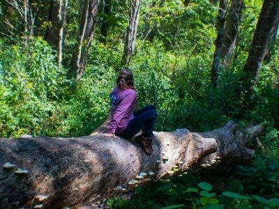 Picnics in the Smoky Mountains in western North Carolina. 