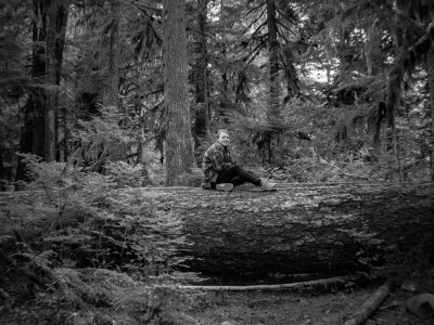 Early mornings in Olympic National Forest