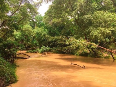 Southern muddy waters of Texas