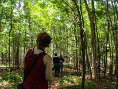 trips through the riverside forests in northern Florida. 