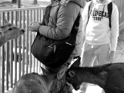 Nara Park, JP