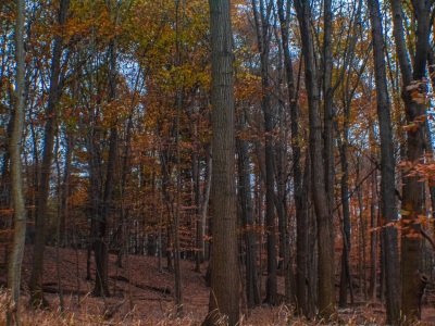 Cuyahoga Valley National Park, Ohio