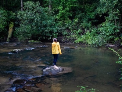 Relaxing morning in Pisgah National Forest in western North Carolina