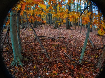 Cuyahoga Valley National Park in fall, upstate Ohio