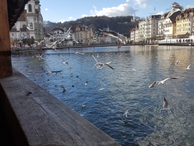 Lucerne, wooden bridge