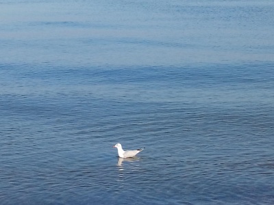 Baltic Sea, near Germany 