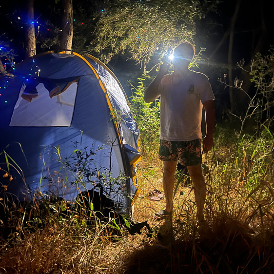 tripper photo