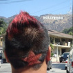 tripper photo