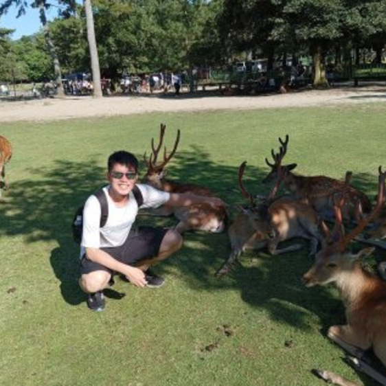 tripper photo